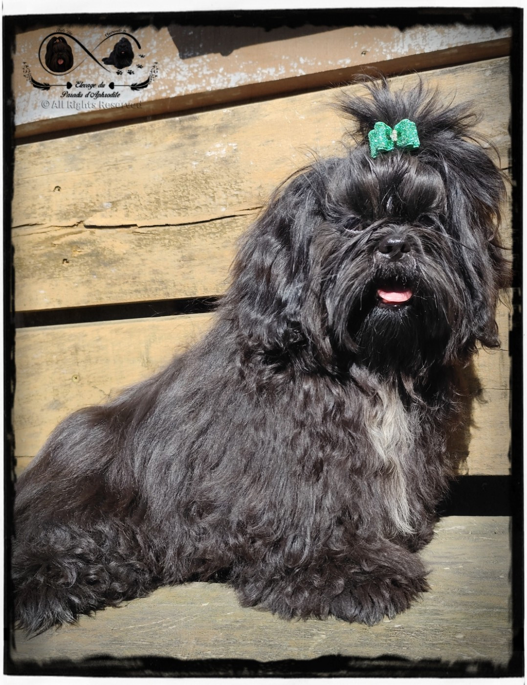 Vadrouille'nocturne Du Domaine Des Plaines D'Argent