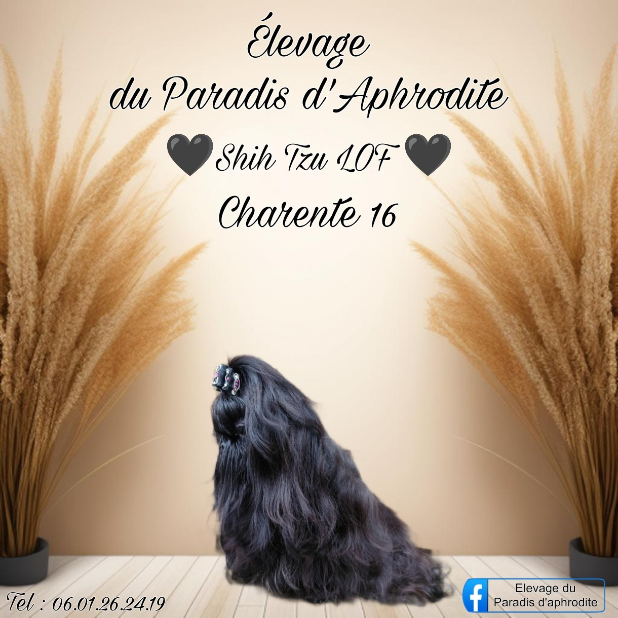 Elevage du paradis d'aphrodite